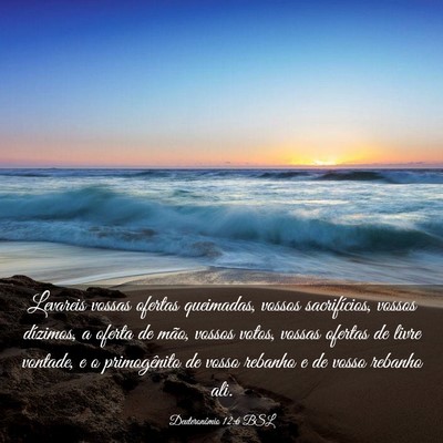 Picture 03 - Deuteronômio 12:6 BSL - Levareis vossas ofertas queimadas, vossos - Bible Verse Picture