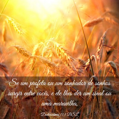 Picture 03 - Deuteronômio 13:1 BSL - Se um profeta ou um sonhador de sonhos surgir - Bible Verse Picture