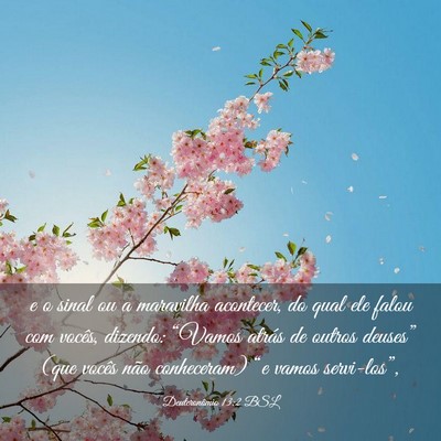 Picture 03 - Deuteronômio 13:2 BSL - e o sinal ou a maravilha acontecer, do qual ele - Bible Verse Picture