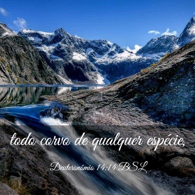 Picture 03 - Deuteronômio 14:14 BSL - todo corvo de qualquer - Bible Verse Picture