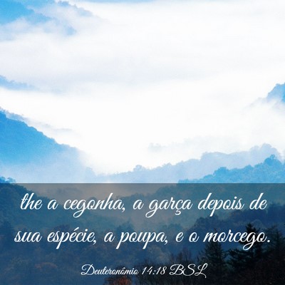Picture 03 - Deuteronômio 14:18 BSL - the a cegonha, a garça depois de sua espécie, a - Bible Verse Picture