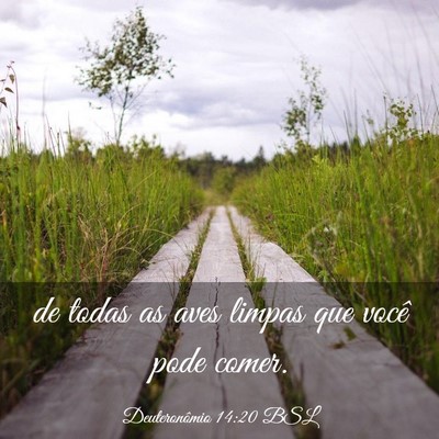 Picture 03 - Deuteronômio 14:20 BSL - de todas as aves limpas que você pode - Bible Verse Picture