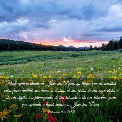 Picture 03 - Deuteronômio 14:23 BSL - Você comerá diante de Javé seu Deus, no lugar - Bible Verse Picture