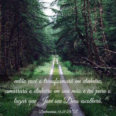 Picture 03 - Deuteronômio 14:25 BSL - então você o transformará em dinheiro, - Bible Verse Picture