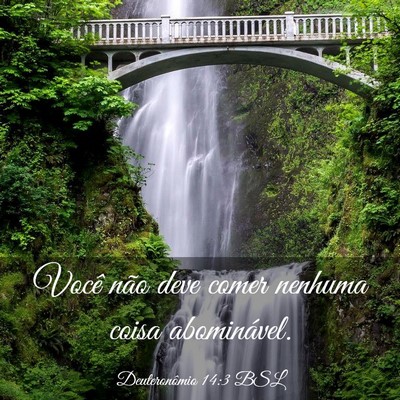 Picture 03 - Deuteronômio 14:3 BSL - Você não deve comer nenhuma coisa - Bible Verse Picture