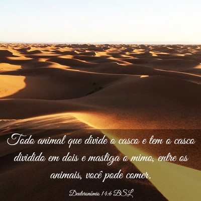 Picture 03 - Deuteronômio 14:6 BSL - Todo animal que divide o casco e tem o casco - Bible Verse Picture