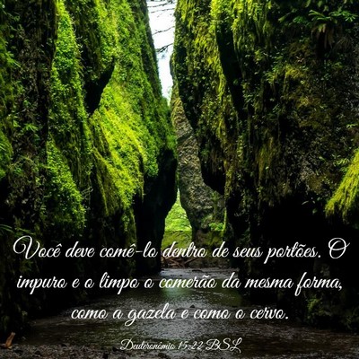 Picture 03 - Deuteronômio 15:22 BSL - Você deve comê-lo dentro de seus portões. O - Bible Verse Picture