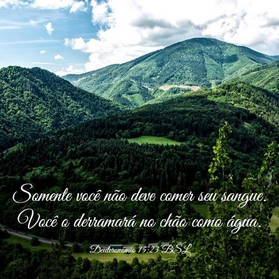 Picture 03 - Deuteronômio 15:23 BSL - Somente você não deve comer seu sangue. Você o - Bible Verse Picture