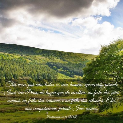 Picture 03 - Deuteronômio 16:16 BSL - Três vezes por ano, todos os seus homens - Bible Verse Picture
