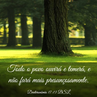 Picture 03 - Deuteronômio 17:13 BSL - Todo o povo ouvirá e temerá, e não fará mais - Bible Verse Picture