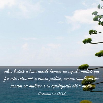 Picture 03 - Deuteronômio 17:5 BSL - então trareis à tona aquele homem ou aquela - Bible Verse Picture