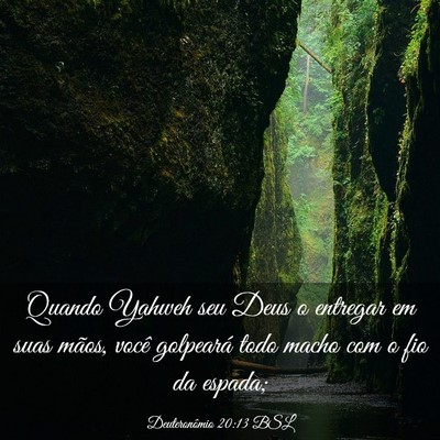 Picture 03 - Deuteronômio 20:13 BSL - Quando Yahweh seu Deus o entregar em suas mãos, - Bible Verse Picture