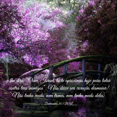 Picture 03 - Deuteronômio 20:3 BSL - e lhe dirá: “Ouve, Israel, tu te aproximas - Bible Verse Picture