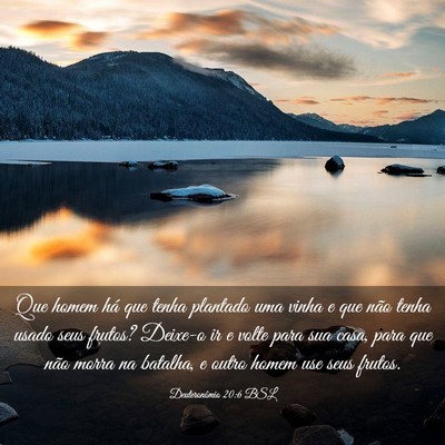 Picture 03 - Deuteronômio 20:6 BSL - Que homem há que tenha plantado uma vinha e que - Bible Verse Picture