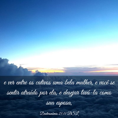Picture 03 - Deuteronômio 21:11 BSL - e ver entre os cativos uma bela mulher, e você - Bible Verse Picture