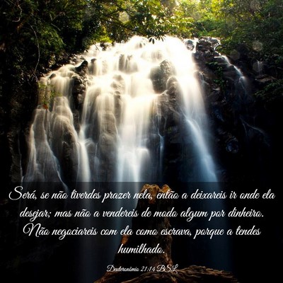 Picture 03 - Deuteronômio 21:14 BSL - Será, se não tiverdes prazer nela, então a - Bible Verse Picture