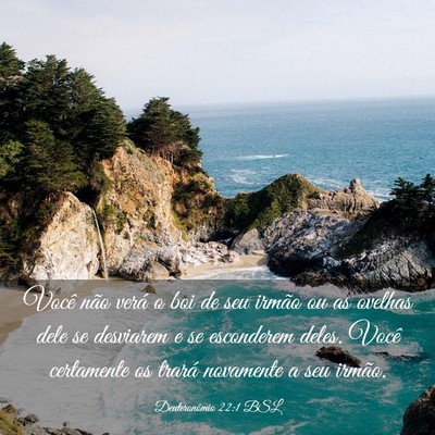 Picture 03 - Deuteronômio 22:1 BSL - Você não verá o boi de seu irmão ou as - Bible Verse Picture