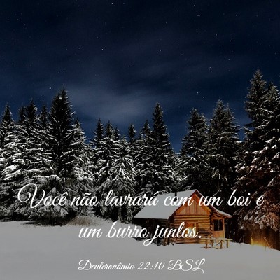 Picture 03 - Deuteronômio 22:10 BSL - Você não lavrará com um boi e um burro - Bible Verse Picture