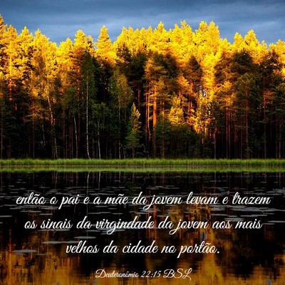 Picture 03 - Deuteronômio 22:15 BSL - então o pai e a mãe da jovem levam e trazem os - Bible Verse Picture
