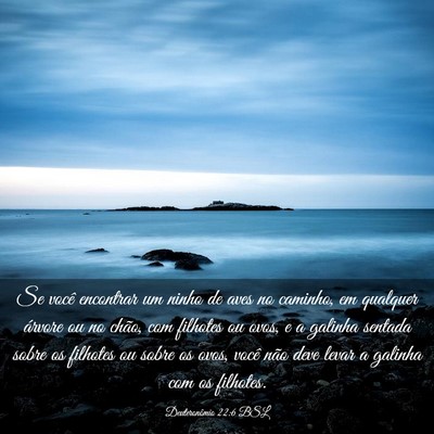 Picture 03 - Deuteronômio 22:6 BSL - Se você encontrar um ninho de aves no caminho, - Bible Verse Picture