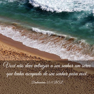 Picture 03 - Deuteronômio 23:15 BSL - Você não deve entregar a seu senhor um servo - Bible Verse Picture