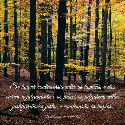 Picture 03 - Deuteronômio 25:1 BSL - Se houver controvérsia entre os homens, e eles - Bible Verse Picture