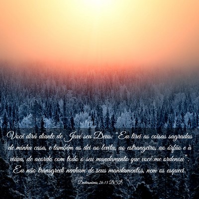 Picture 03 - Deuteronômio 26:13 BSL - Você dirá diante de Javé seu Deus: “Eu tirei - Bible Verse Picture