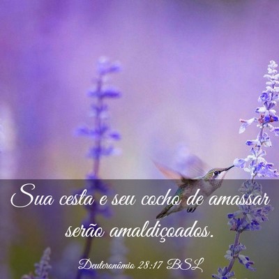 Picture 03 - Deuteronômio 28:17 BSL - Sua cesta e seu cocho de amassar serão - Bible Verse Picture