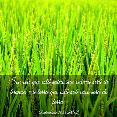 Picture 03 - Deuteronômio 28:23 BSL - Seu céu que está sobre sua cabeça será de - Bible Verse Picture