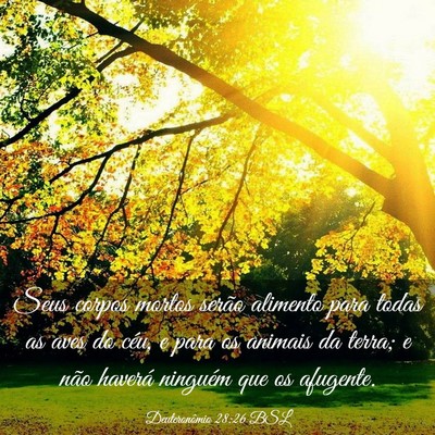Picture 03 - Deuteronômio 28:26 BSL - Seus corpos mortos serão alimento para todas as - Bible Verse Picture