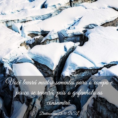 Picture 03 - Deuteronômio 28:38 BSL - Você levará muitas sementes para o campo e - Bible Verse Picture
