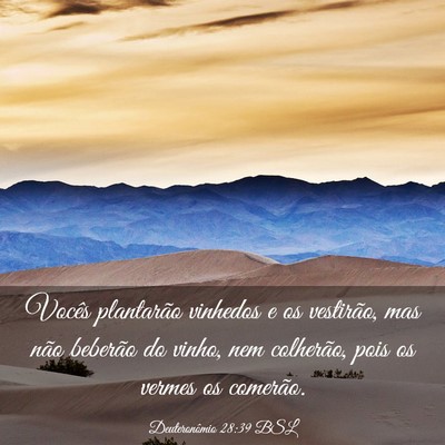 Picture 03 - Deuteronômio 28:39 BSL - Vocês plantarão vinhedos e os vestirão, mas - Bible Verse Picture