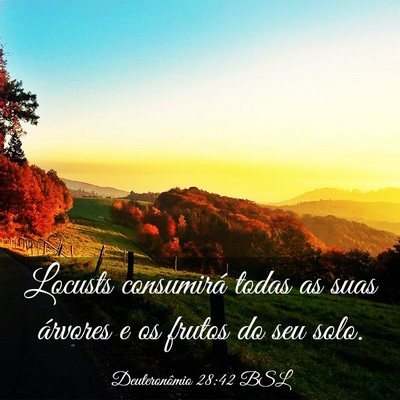 Picture 03 - Deuteronômio 28:42 BSL - Locusts consumirá todas as suas árvores e os - Bible Verse Picture