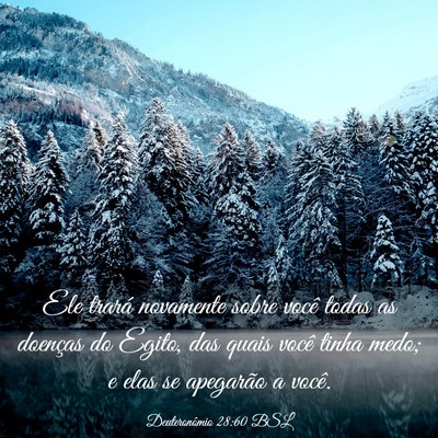 Picture 03 - Deuteronômio 28:60 BSL - Ele trará novamente sobre você todas as - Bible Verse Picture