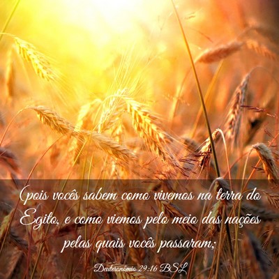 Picture 03 - Deuteronômio 29:16 BSL - (pois vocês sabem como vivemos na terra do - Bible Verse Picture