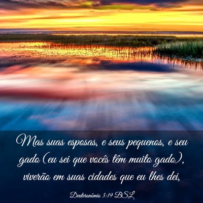 Picture 03 - Deuteronômio 3:19 BSL - Mas suas esposas, e seus pequenos, e seu gado (eu - Bible Verse Picture