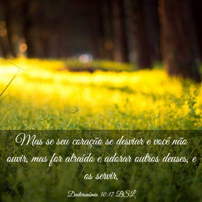 Picture 03 - Deuteronômio 30:17 BSL - Mas se seu coração se desviar e você não - Bible Verse Picture