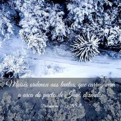 Picture 03 - Deuteronômio 31:25 BSL - Moisés ordenou aos levitas, que carregavam a - Bible Verse Picture