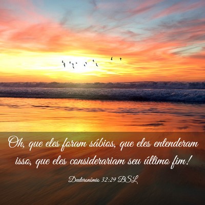 Picture 03 - Deuteronômio 32:29 BSL - Oh, que eles foram sábios, que eles entenderam - Bible Verse Picture