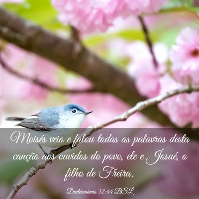Picture 03 - Deuteronômio 32:44 BSL - Moisés veio e falou todas as palavras desta - Bible Verse Picture