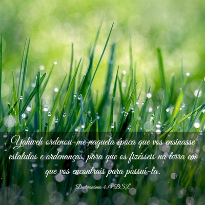 Picture 03 - Deuteronômio 4:14 BSL - Yahweh ordenou-me naquela época que vos - Bible Verse Picture