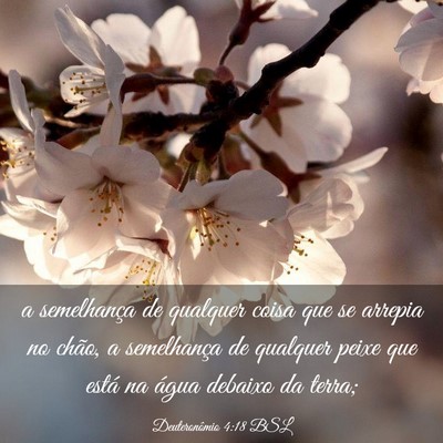 Picture 03 - Deuteronômio 4:18 BSL - a semelhança de qualquer coisa que se arrepia no - Bible Verse Picture