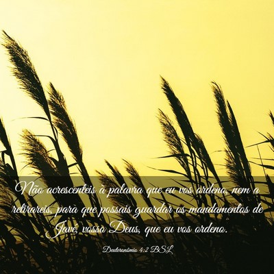Picture 03 - Deuteronômio 4:2 BSL - Não acrescenteis à palavra que eu vos ordeno, - Bible Verse Picture