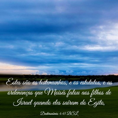 Picture 03 - Deuteronômio 4:45 BSL - Estes são os testemunhos, e os estatutos, e as - Bible Verse Picture