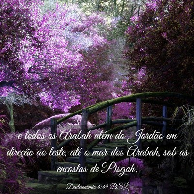 Picture 03 - Deuteronômio 4:49 BSL - e todos os Arabah além do Jordão em direção - Bible Verse Picture