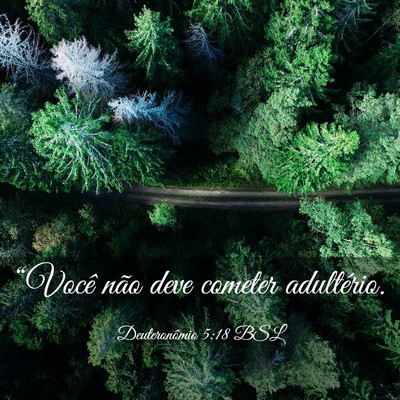 Picture 03 - Deuteronômio 5:18 BSL - “Você não deve cometer - Bible Verse Picture