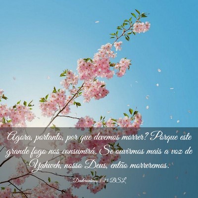 Picture 03 - Deuteronômio 5:25 BSL - Agora, portanto, por que devemos morrer? Porque - Bible Verse Picture