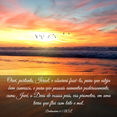Picture 03 - Deuteronômio 6:3 BSL - Ouvi, portanto, Israel, e observai fazê-lo, para - Bible Verse Picture