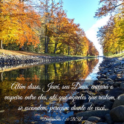 Picture 03 - Deuteronômio 7:20 BSL - Além disso, Javé, seu Deus, enviará o vespeiro - Bible Verse Picture