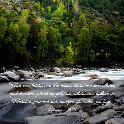 Picture 03 - Deuteronômio 7:5 BSL - Mas você lidará com eles assim: derrubará seus - Bible Verse Picture